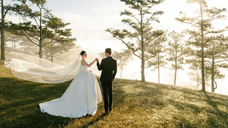 A bride and groom holding hands on a misty hillside among pine trees